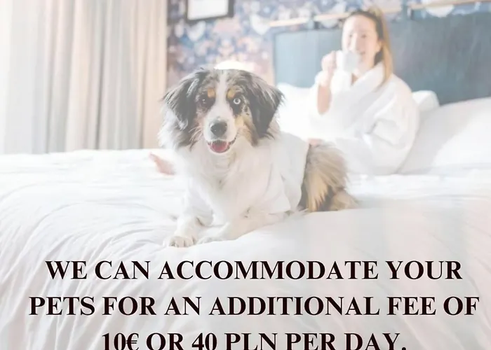 Lumina 2-room Near Fabryczna Łódź